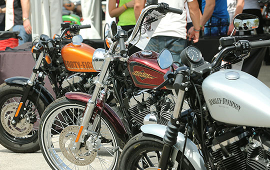 sportsters
